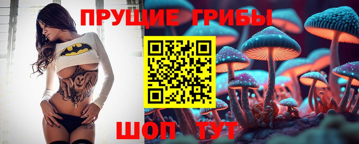 Псилоцибиновые грибы MAGIC MUSHROOMS Павлово