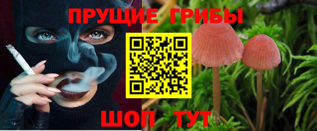 даркнет сайт  Вход с VPN  Павлово  Псилоцибиновые грибы MAGIC MUSHROOMS  Галлюциногенные грибы прущие грибы 